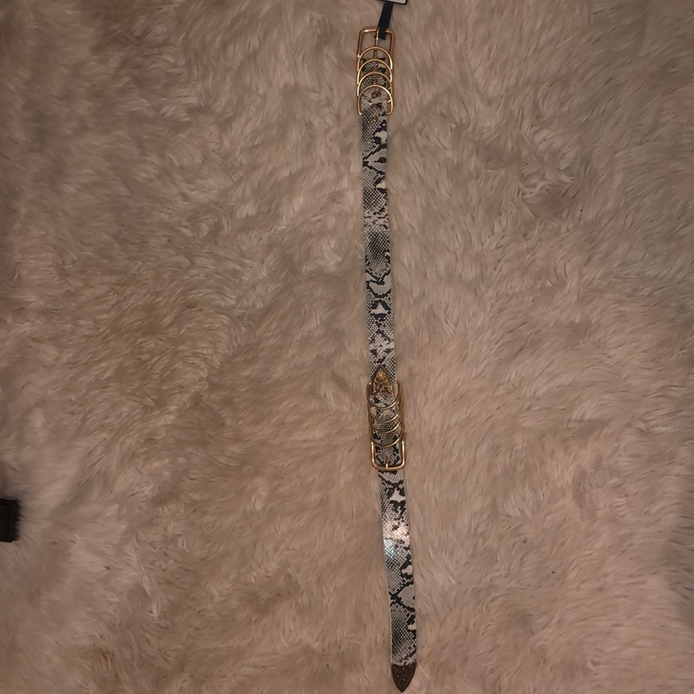 Small snake skin belt